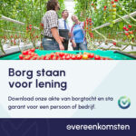 Borgstellingsovereenkomst
