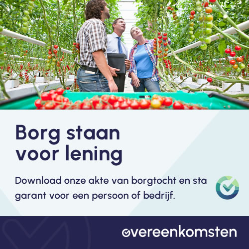 Borgstellingsovereenkomst