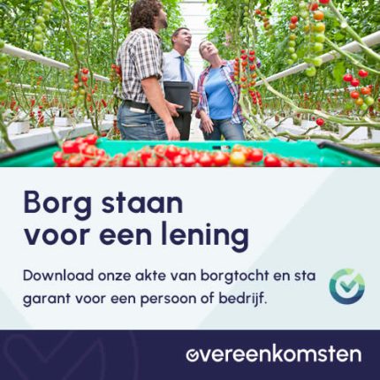 Borgstellingsovereenkomst